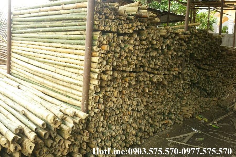 Cọc tre công tình Huế